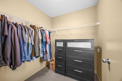 280 Copperstone Cove Se, Calgary, AB 