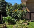 4215 Villa Crescent Nw, Calgary, AB 