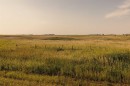 Parcel 2 Range Road 271 Just South Of Highway 9., Rural Rocky View County, AB 