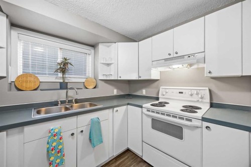 219 26 Avenue Ne, Calgary, AB 