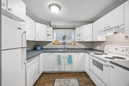 219 26 Avenue Ne, Calgary, AB 