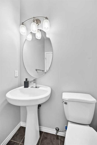 139 Skyview Shores Crescent Ne, Calgary, AB 