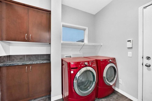 139 Skyview Shores Crescent Ne, Calgary, AB 