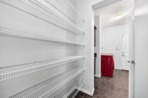 139 Skyview Shores Crescent Ne, Calgary, AB 