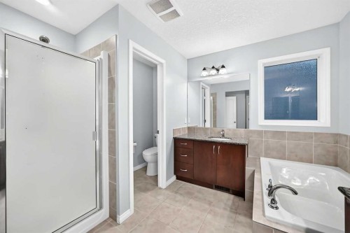 139 Skyview Shores Crescent Ne, Calgary, AB 