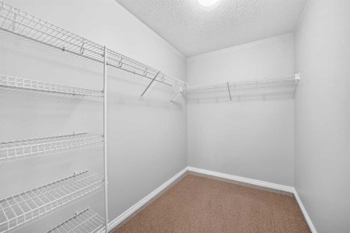 139 Skyview Shores Crescent Ne, Calgary, AB 