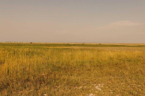 Parcel 1 Range Road 271 Just South Of Highway 9., Rural Rocky View County, AB 