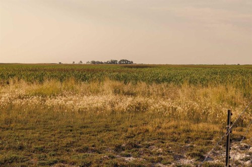 Parcel 1 Range Road 271 Just South Of Highway 9., Rural Rocky View County, AB 