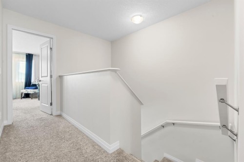 31 Red Embers Lane Ne, Calgary, AB 