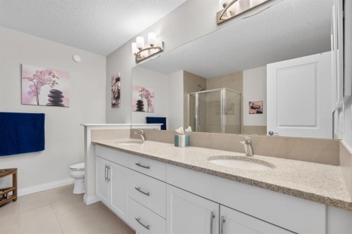 31 Red Embers Lane Ne, Calgary, AB 