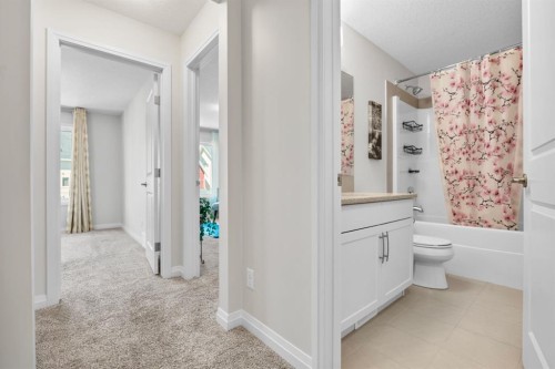31 Red Embers Lane Ne, Calgary, AB 