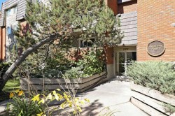303-222 5 Avenue NE Calgary, AB T3E 0K6