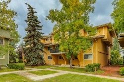 103-2200 Woodview Drive SWCalgary, AB T2W 3N6