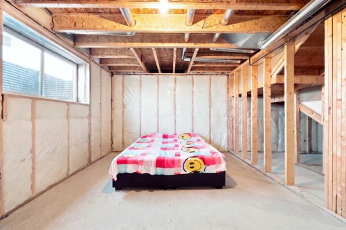 170 Chelsea Road, Chestermere, AB - Indoor Photo Showing Basement
