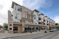 316-119 19 Street NWCalgary, AB T2N 2S7
