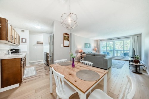 382-8948 Elbow Drive Sw, Calgary, AB 