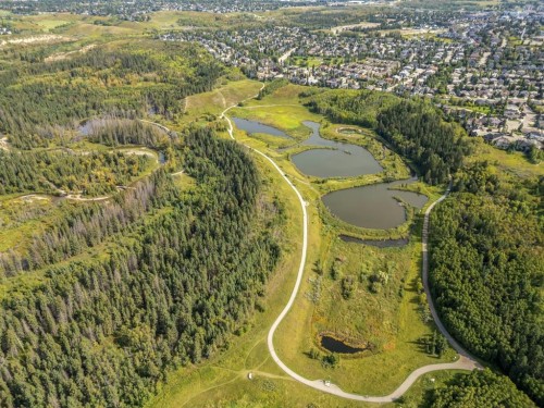 41 Evercreek Bluffs Crescent Sw, Calgary, AB 