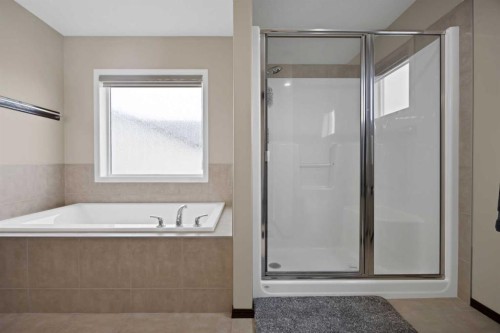 799 New Brighton Drive Se, Calgary, AB 