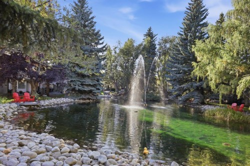 251-4037 42 Street Nw, Calgary, AB 