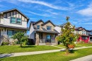 121 Skyview Ranch Drive Ne, Calgary, AB 