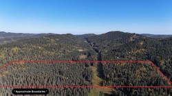 50 acres Range Road 60  Rural Rocky View County, AB T0L 0W0