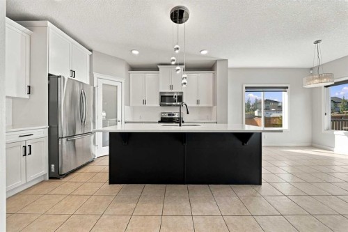 44 Skyview Point Terrace Ne, Calgary, AB 