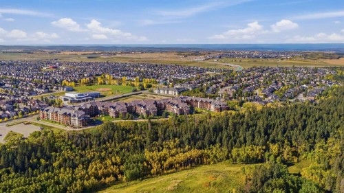 2208-2518 Fish Creek Boulevard Sw, Calgary, AB 