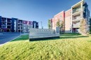 314-5 Saddlestone Way Ne, Calgary, AB 