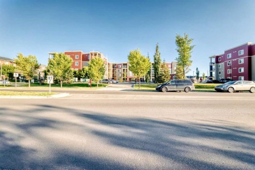 314-5 Saddlestone Way Ne, Calgary, AB 