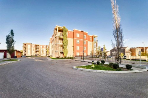 314-5 Saddlestone Way Ne, Calgary, AB 