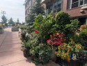 414-63 Inglewood Park Se, Calgary, AB 