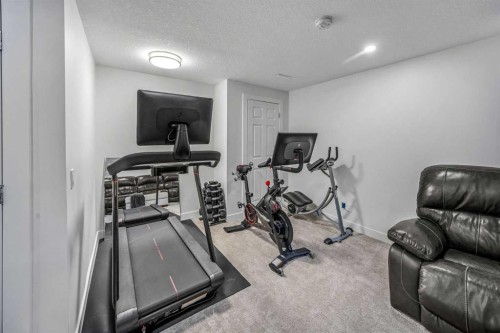 207 Copperpond Road Se, Calgary, AB 