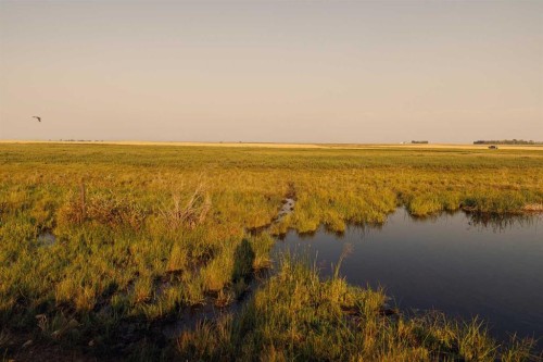 Parcel 6 Range Road 271 Just South Of Highway 9., Rural Rocky View County, AB 