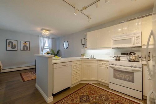 201-1328 13 Avenue Sw, Calgary, AB 