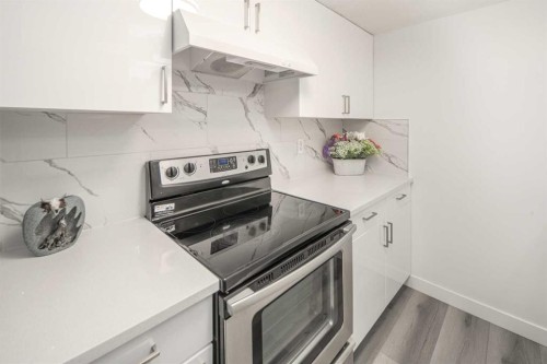 49-1055 72 Avenue Nw, Calgary, AB 