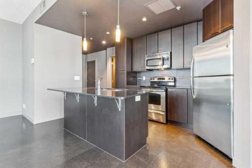 1004-220 12 Avenue Se, Calgary, AB 