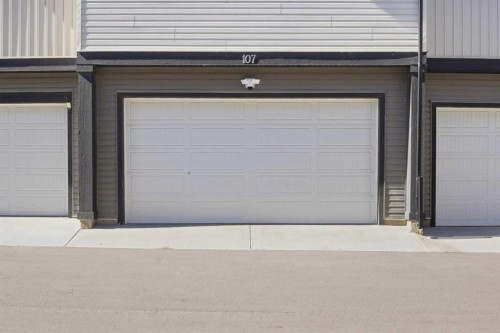 107 Corner Meadows Square Ne, Calgary, AB 