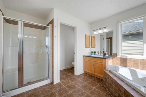 1313 Prairie Springs Park Sw, Airdrie, AB 