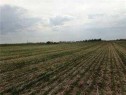 Ne 1/4-21-23-25-4, Rural Wheatland County, AB 