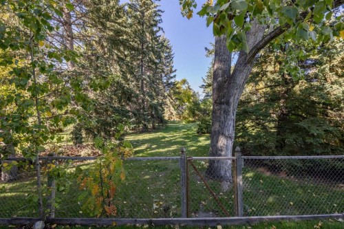 1336 116 Avenue Sw, Calgary, AB 