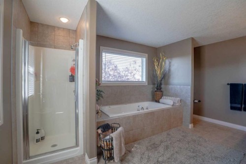 460 Sunset Link, Crossfield, AB 
