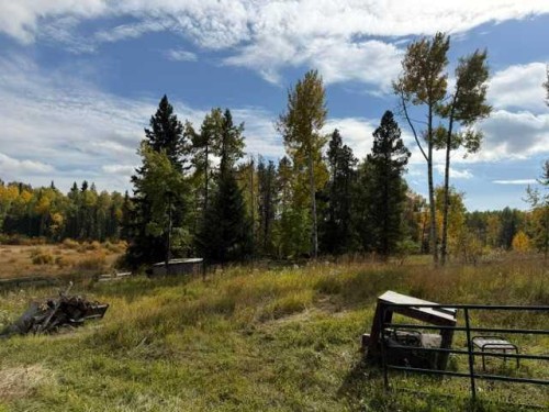 33371 Range Road 63, Rural Mountain View County, AB 