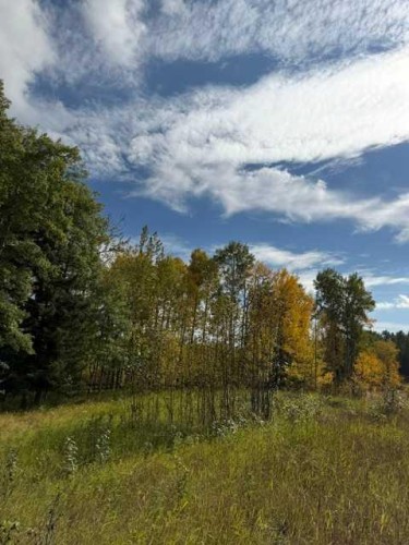 33371 Range Road 63, Rural Mountain View County, AB 