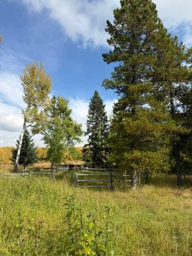 33371 Range Road 63, Rural Mountain View County, AB 