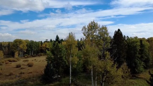 33371 Range Road 63, Rural Mountain View County, AB 