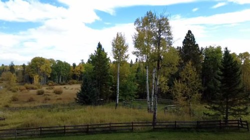 33371 Range Road 63, Rural Mountain View County, AB 