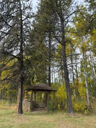 33371 Range Road 63, Rural Mountain View County, AB 