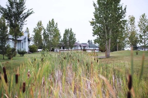 923 Nativity Bay, Rural Rocky View County, AB 