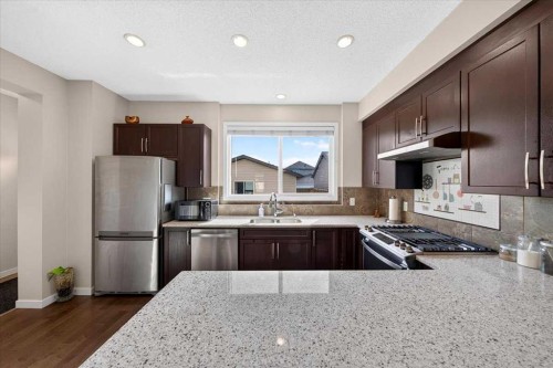 189 Skyview Springs Crescent Ne, Calgary, AB 