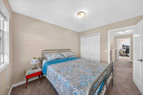189 Skyview Springs Crescent Ne, Calgary, AB 